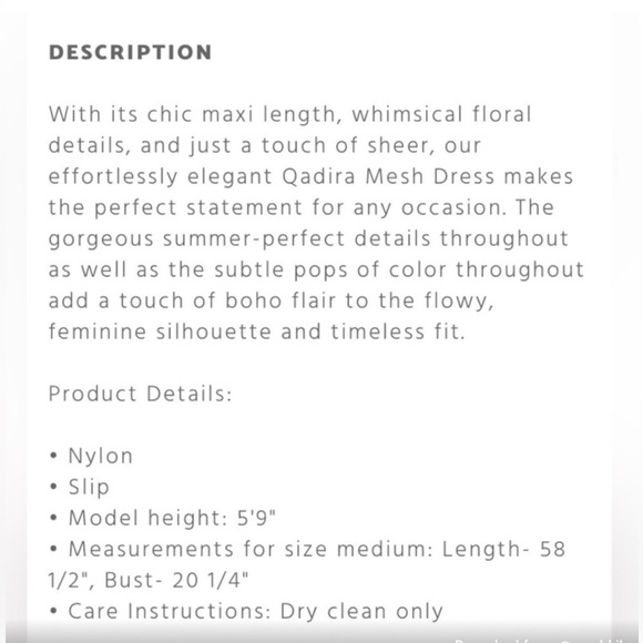 Johnny Was Biya Qadira Mesh Dress Large Whimsical Floral Boho *See Description - Picture 15 of 16